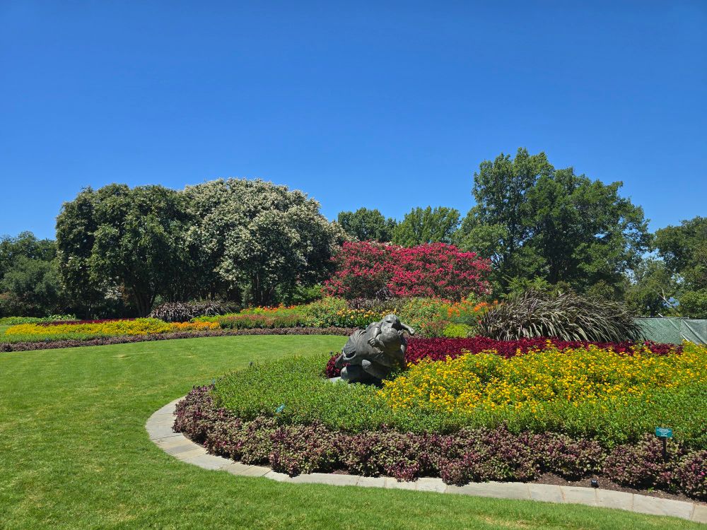 Various colorful flowers and plants in a well-maintained field.