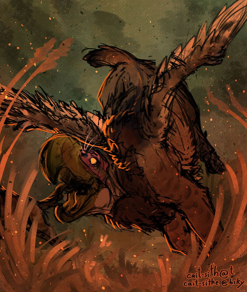 A drawing of a gryphon composed of a terror bird and a smilodon. It is hunting a small mammal, charging towards the viewer with wings spread and beak open.
