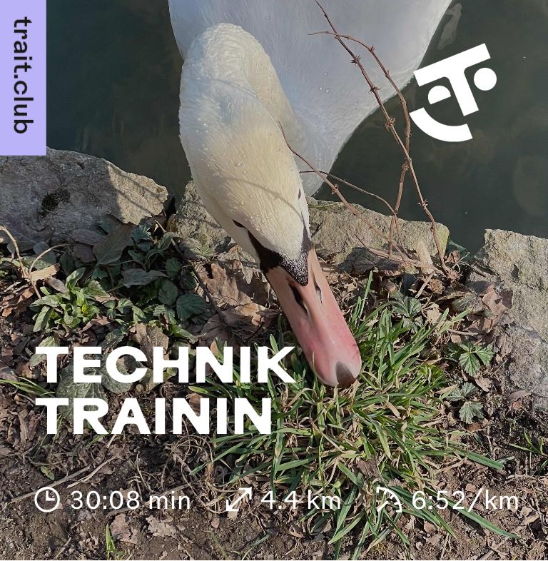 Ein Schwanenkopf, der aus einem Gewässer heraus Gras am Ufer rupft. Aufschrift:Techniktraining
Zeit: 30:08 Minuten Strecke: 4,4 km Pace: 6:52 min/km

