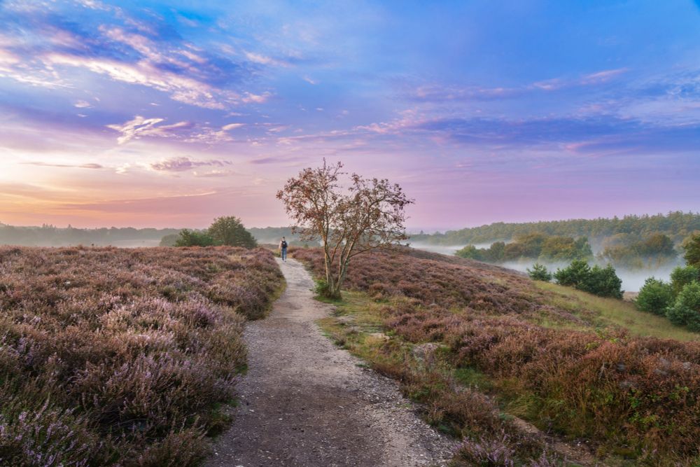 Sunrise with colorful sky in the Veluwezoom in the Netherlands 