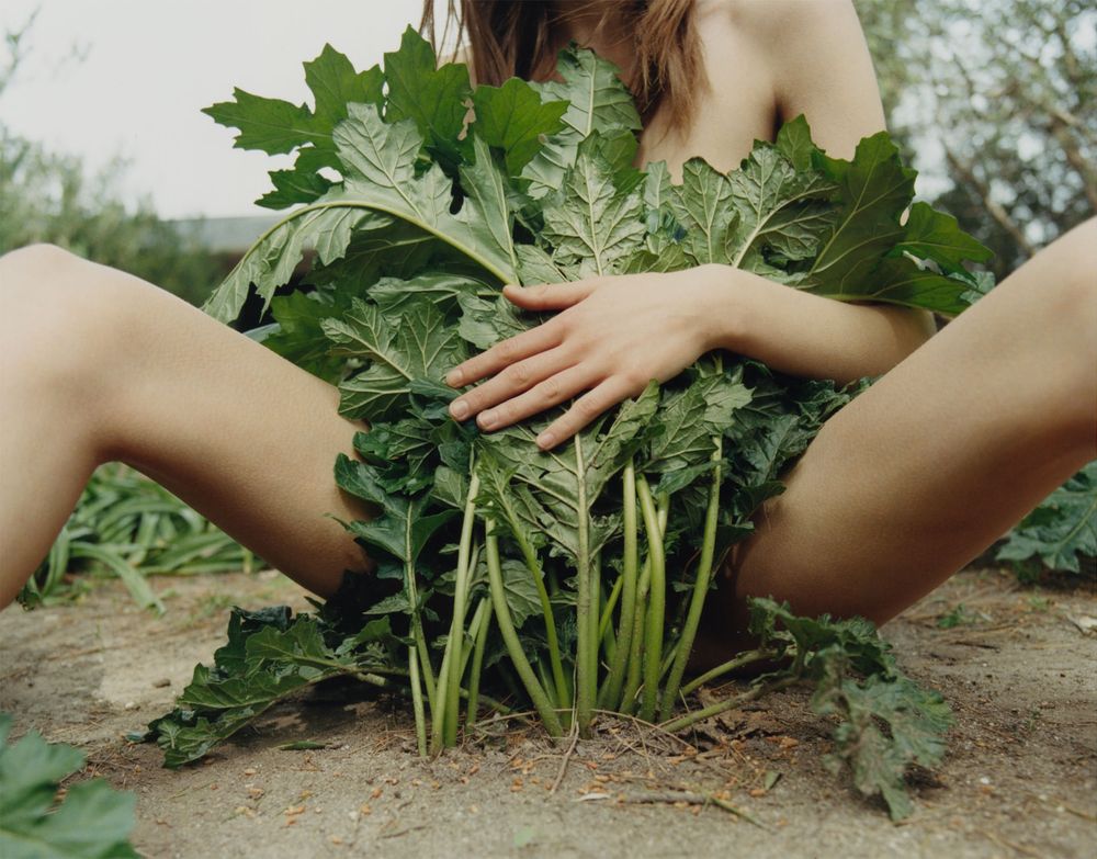 Nu féminin de face, assise à même le sol terreux, on ne voit pas le visage. La plus grande partie du corps est cachée par une plante aux tiges longues et aux grandes feuilles vertes.