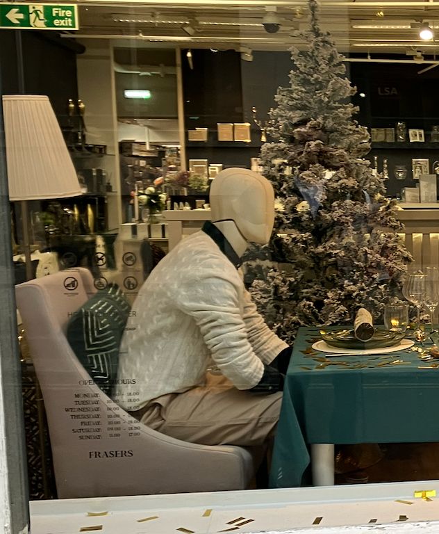 A mannequin sat at a table in a jumper by a Christmas tree and a cracker. He looks needlessly aggressive, like he's midway through rehashing an old argument that has simmered inside him for months. His sleeves are rolled up, he's not letting it go this time. He wanted today to be special, for them to pull the crackers and wear the party hats and remember what made them fall in love, but they're long past that now and the past is a foreign country.