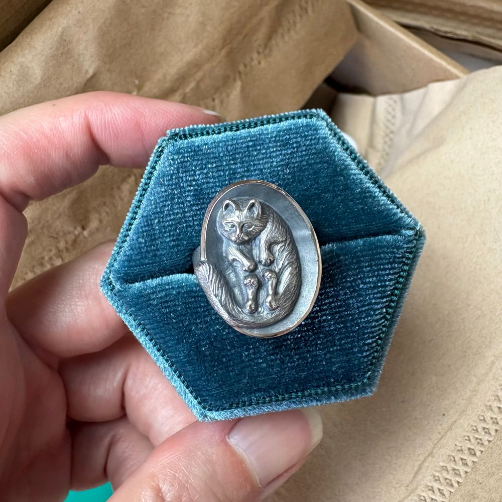 Silver ring featuring a napping cat sitting in ring box.