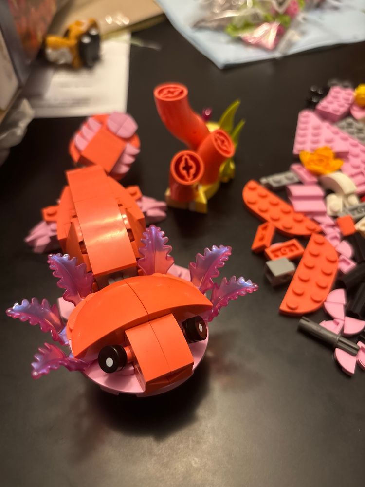 Cheerful orange pink and purple axolotl Lego creation