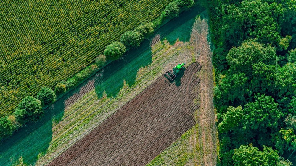 EU-Renaturierungsgesetz: »Vielfalt macht das System stabiler, auch für Landwirte«