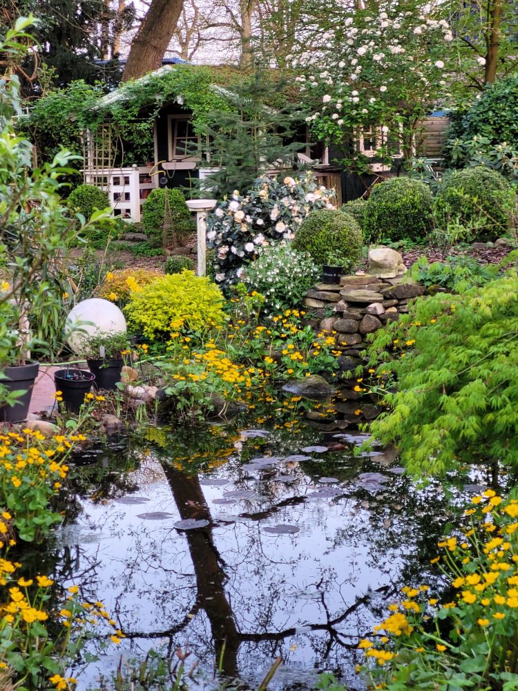 Garten im Frühjahr. Im Vordergrund ein Teich mit gelben Blumen. Ein kahler Baum spiegelt sich im Wasser. Im Hintergrund ist ein Gartenhaus zusehen, dass mit Kletterrosen überwuchert ist. Rechts davon blüht ein Schneeball.