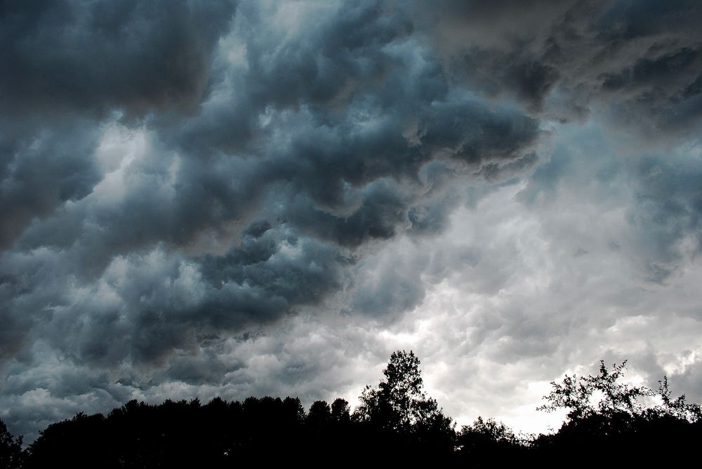 Dark blue and gray clouds against a black silhouetted treeline.
