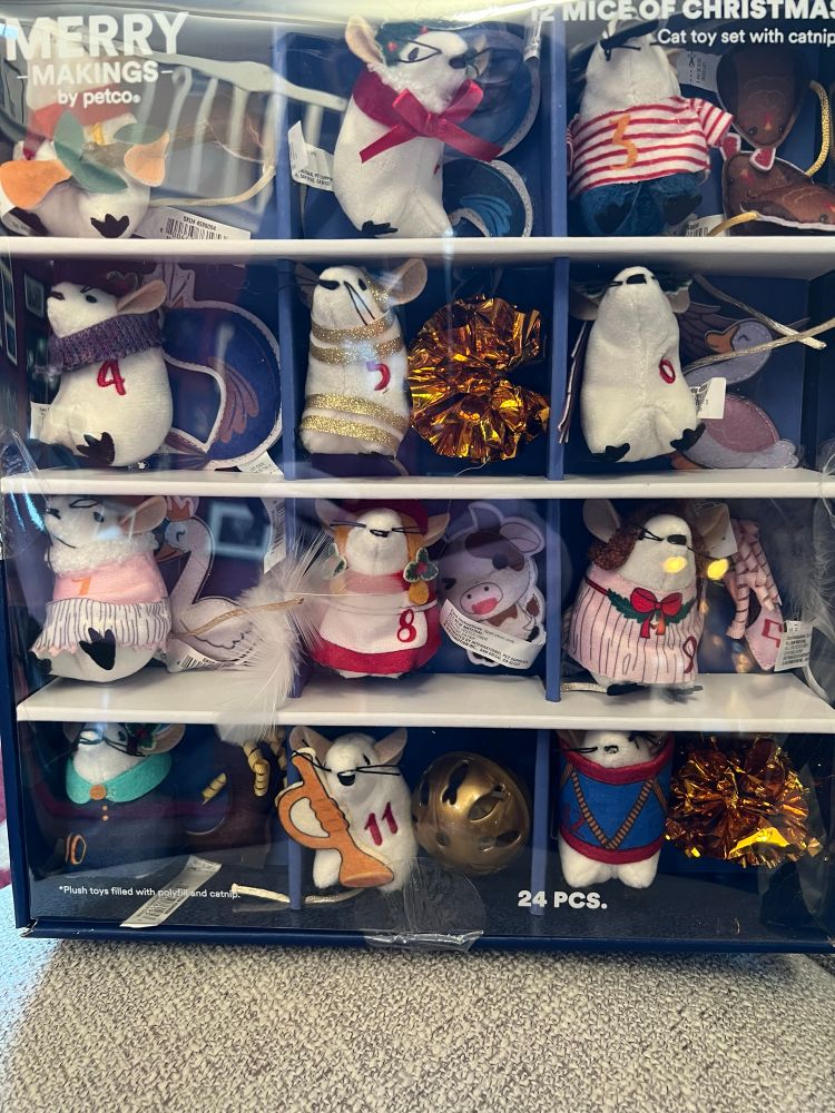 A box of 12 cat toy mice themed like the  days in the song 12 days of Christmas. They all have numbers on them, outfits themed on that day, and accessories