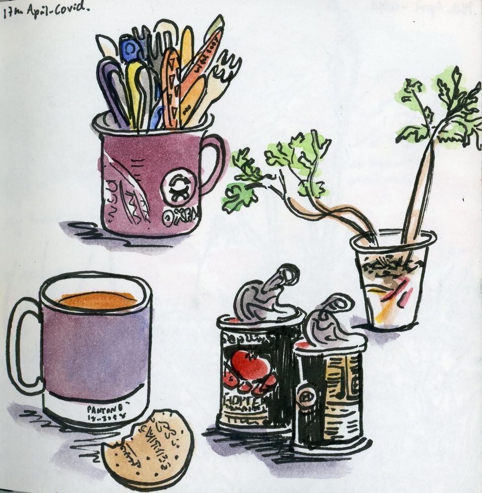 Sketch of things in the kitchen (a plant, open tins of tomato, and cup of tea and half eaten digestive) - caption "Covid"
