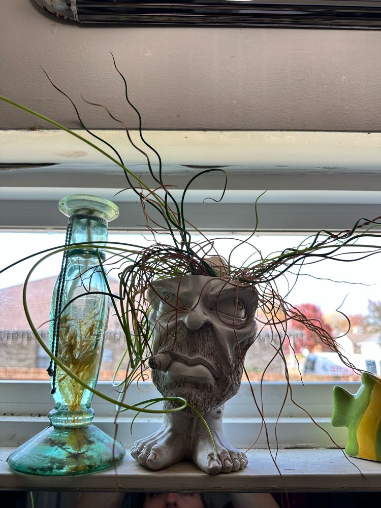 Silly man planter with a grass growing for hair