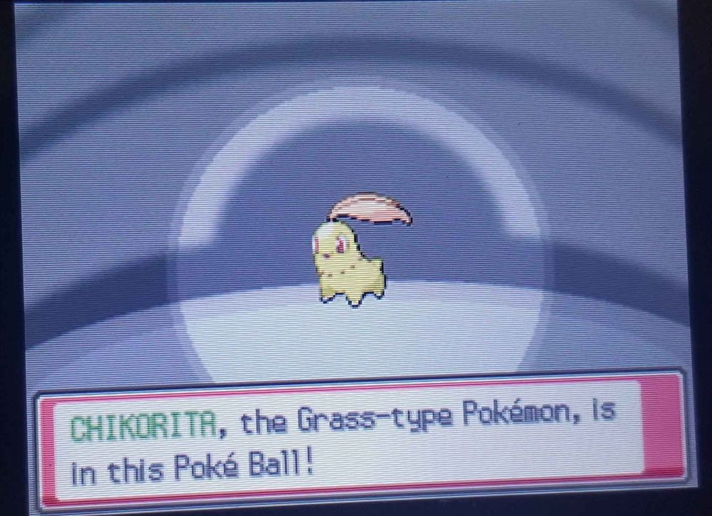 Yellow and brown chikorita in professor elm's lab smiling at me as if it didn't go double over odds and failing once
