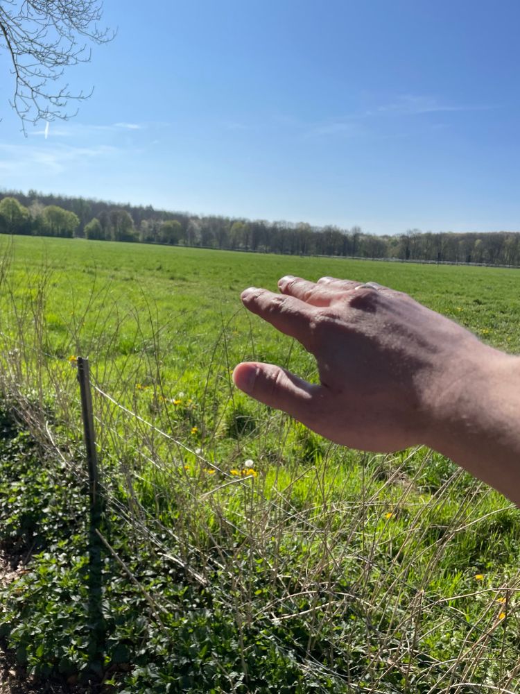 Touch grass