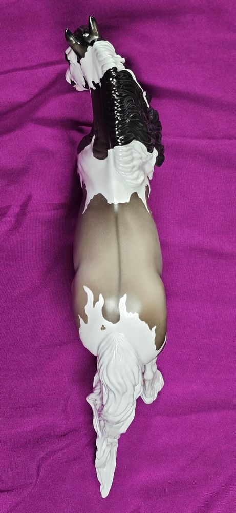 A view of his back.