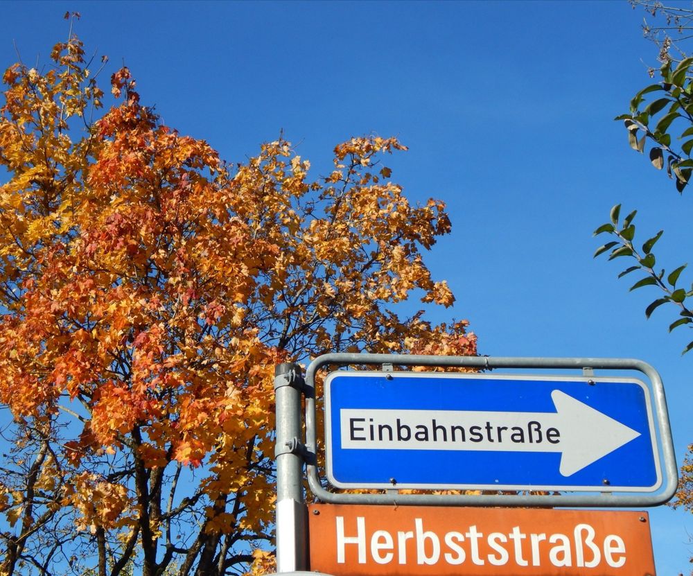 Schilder: Einbahnstraße und Herbststraße.
Vor blauem Himmel und Herbstbaum.