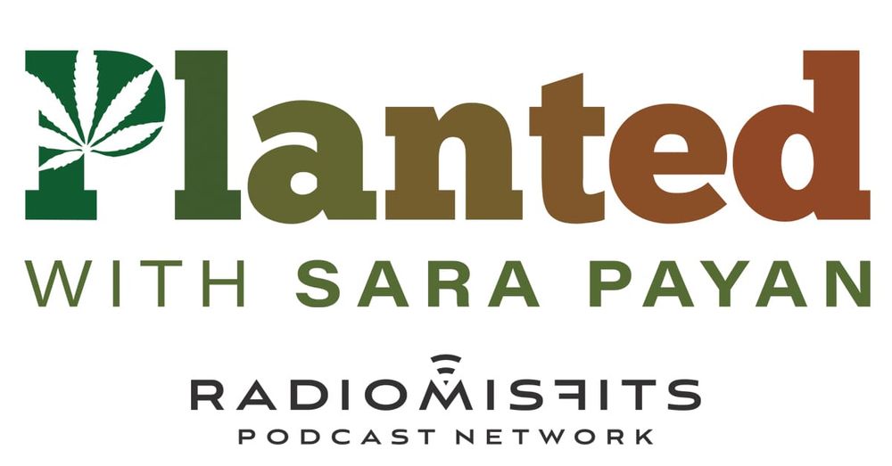 Planted - John Shute
