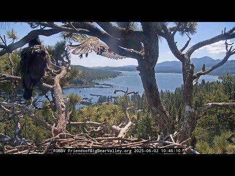 6-2-2025 SUNNY DID IT!