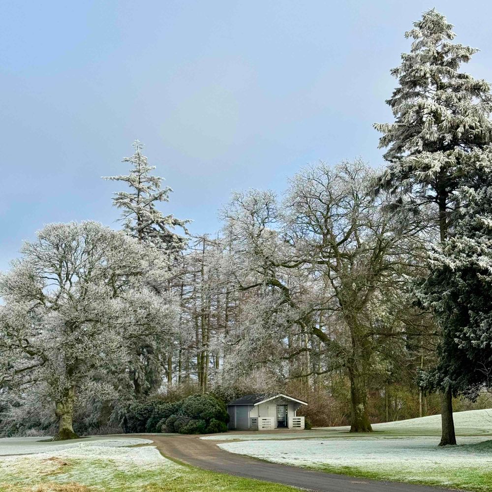 A square view of a small wooden cabin with a triangular roof under a stand of trees with a path leading to it. The entire scene is white with hoar frost.