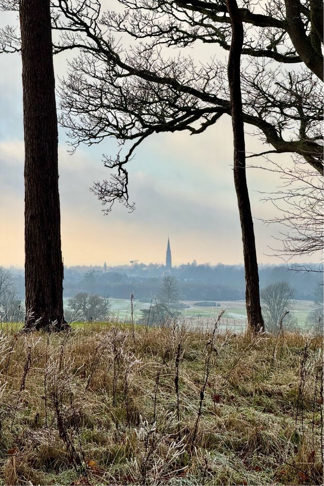 A portrait view of a hazy horizon bathed in orange light framed by tree trunks. A church spire breaks up the horizon about mid-way between the trees.
