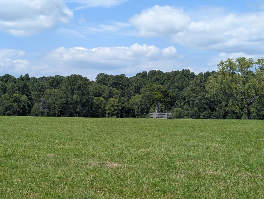 Green Grassy field with trees in the background. Bright blue sky with a couple of clouds. One tree in the distance has a fence around it and a headstone.