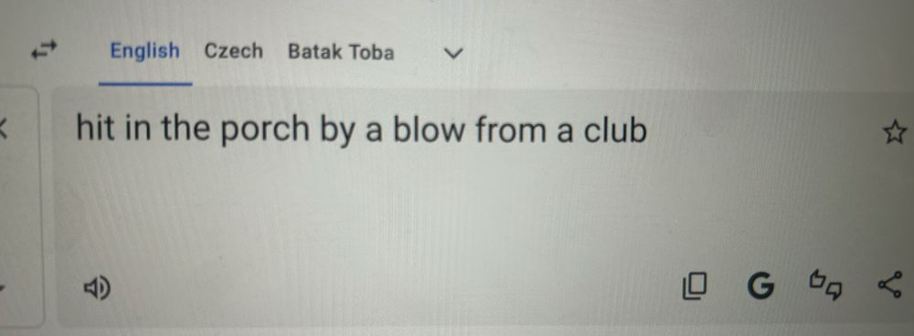 Google translate screenshot saying “hit in the porch by a blow from a club”