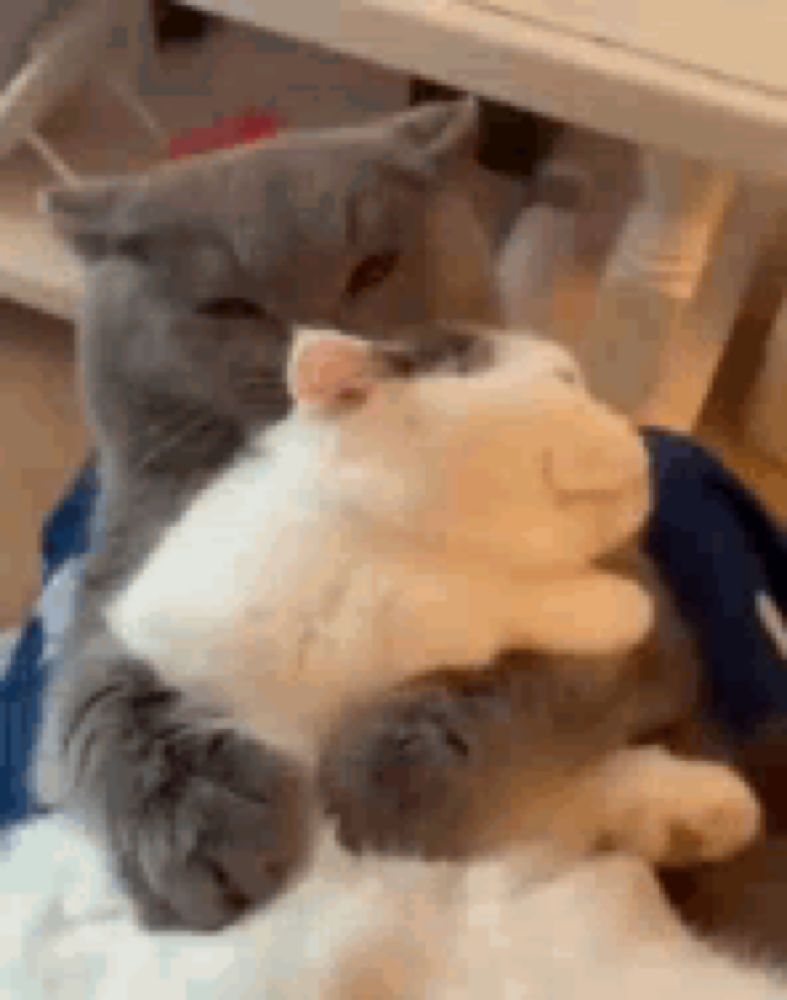 Big Hug GIF