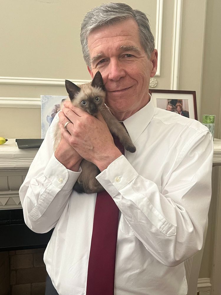 Older caucasian male in white dress shirt and maroon tie holding what appears to be a seal point himalayan kitten.