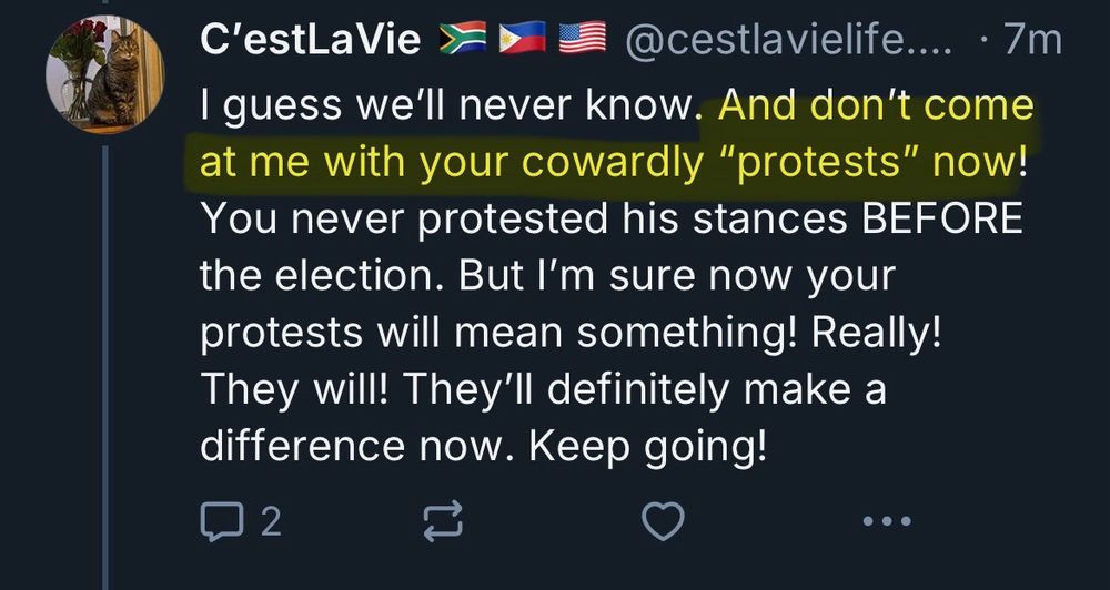 @cestlavielife.bsky.social posting “I guess we’ll never know. And don’t come at me with your cowardly ‘protests’ now! You never protested his stances BEFORE the election. But I’m sure now your protests will mean something! Really! They will! They’ll definitely make a difference now. Keep going!”

The second sentence was highlighted by me for emphasis. 