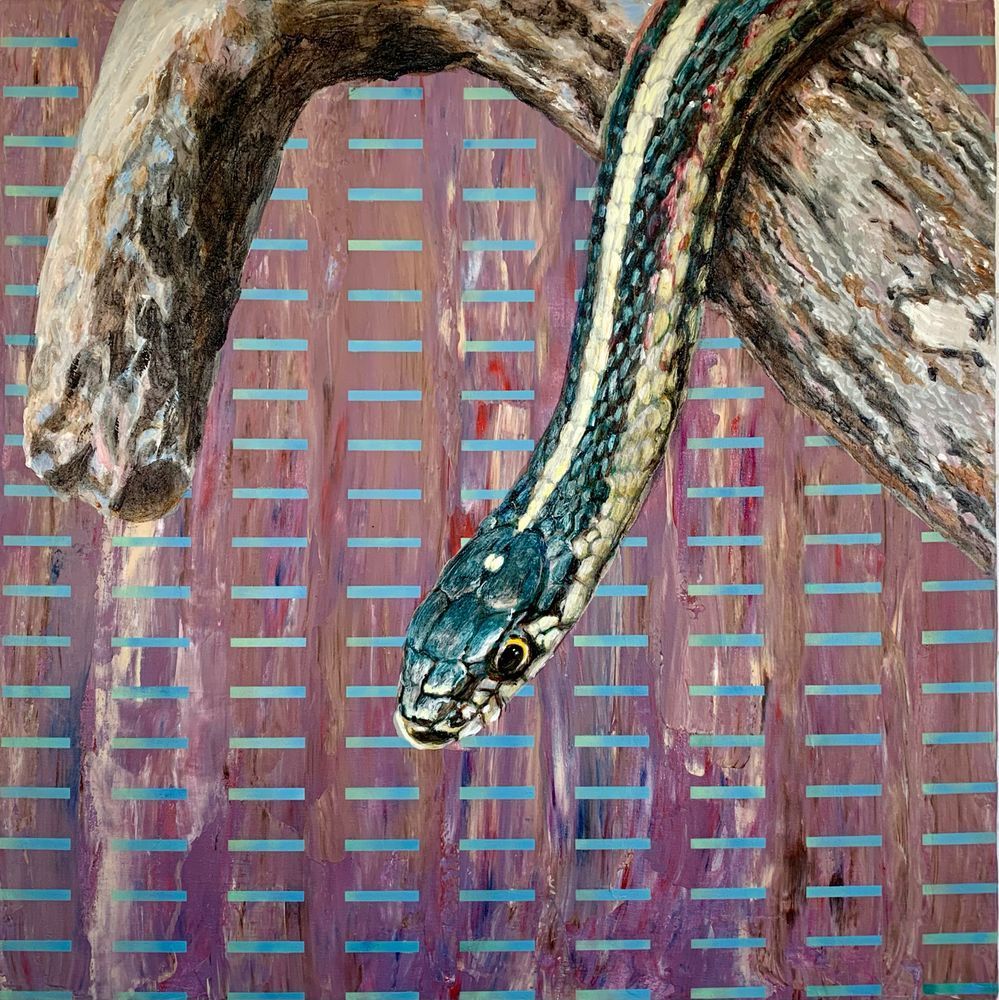 i took the source photo for this picture on a hike to the snake pits at Narcisse. I felt like my Manitoba animals were missing the snakes so I made this one. Most of my paintings seem to either have hair or feathers so it was an interesting change to do scales for once.


Hopeful garter snake
Brian Longfield
Acrylic on canvas
24”x24”
2025