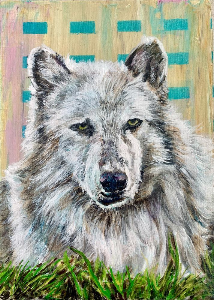 An original acrylic painting on canvas from an original photo of a real grey wolf

This painting is from a photo I took of a wolf at the Assiniboine Park Zoo here in Winnipeg. 

Wolf in the grass
By Brian Longfield
Acrylic on canvas 
9”x12.5”
2022