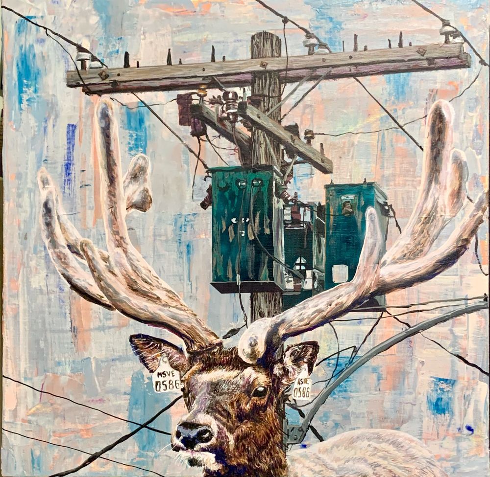 An original acrylic painting on canvas from an original photo of a real elk and a real telephone pole. The elk photo is from Wall Street in Winnipeg and the Telephone pole is from the Assiniboine park zoo — or maybe the other way around…

Power display
By Brian Longfield 
Acrylic on Canvas
24”x24”
2020

I’m really happy with this one.