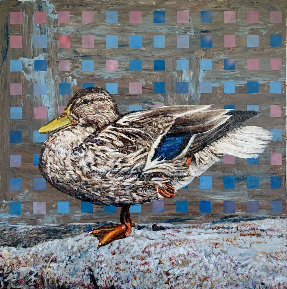 Mallard duck, voicing her opinion
Brian Longfield 
Acrylic on canvas 
24”x24”
2025

I initially rejected the source photo for this painting. I had been very excited by it when I’d taken it on a hike in Bird’s Hill in 2023 but when I got home I realized the reason she was so still for the length it took to get a good picture was she been pooping. 

flash forward to 2025 and I’m feeling very frustrated by current events and looking for an animal to paint and I come accross the pics of the pooping duck, and I realize that, yes, this is the perfect image for how I’m feeling right now.  Perhaps this sassy duck perfectly sums up your feelings about the world as well. 

It does seem that most people miss the poop the first time they see the painting. So hanging it in your home, you can be certain that nobody will think you are secretly telling them to duck off. 😆
