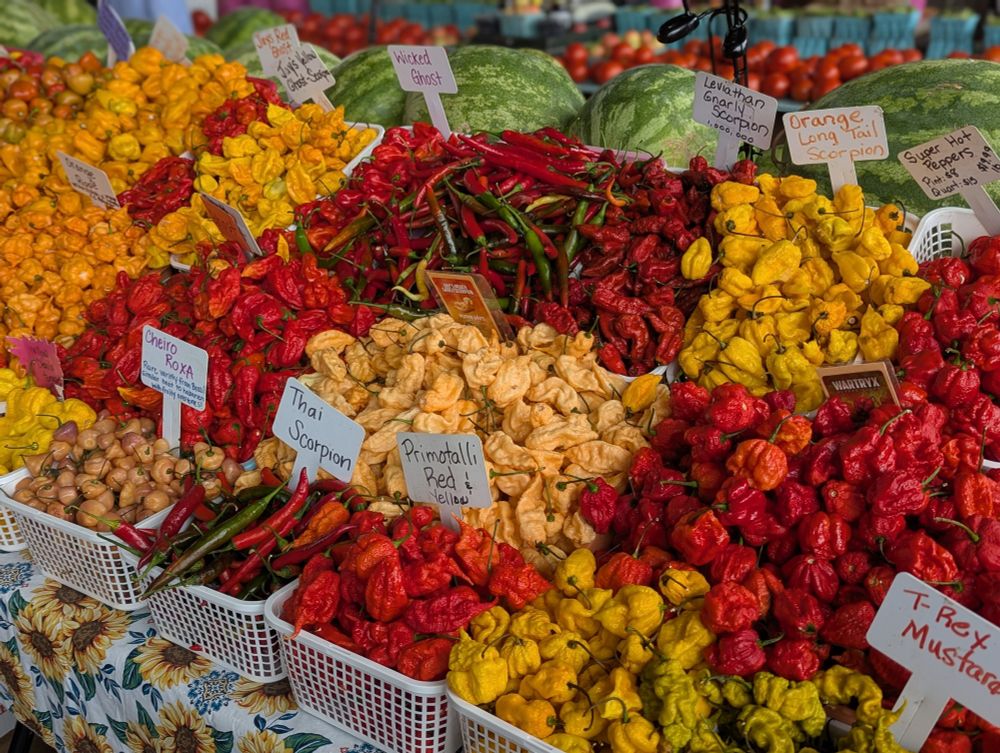 Baskets of orange, yellow, red and green peppers with watermelons behind. 