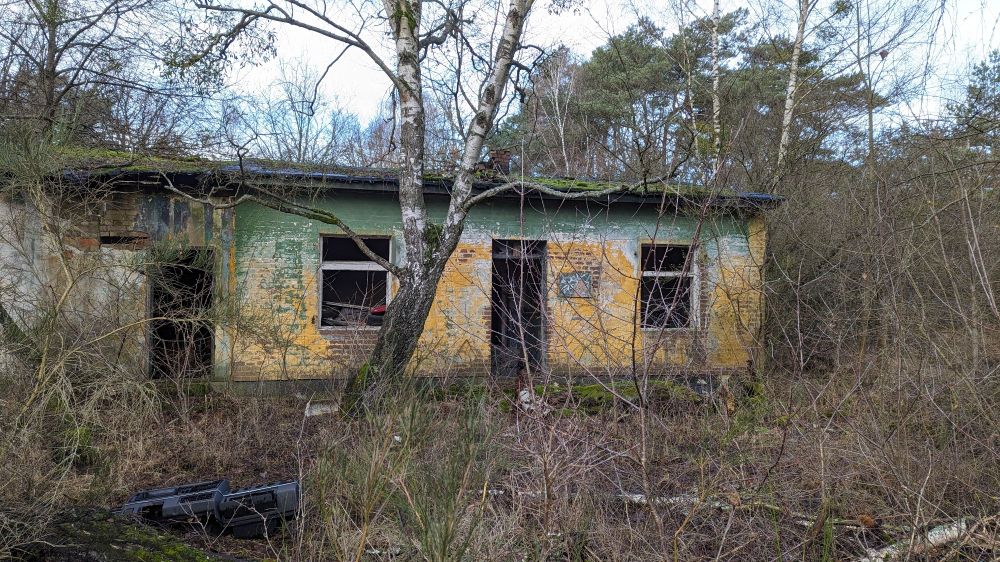 Ruins of a barrack in the woods