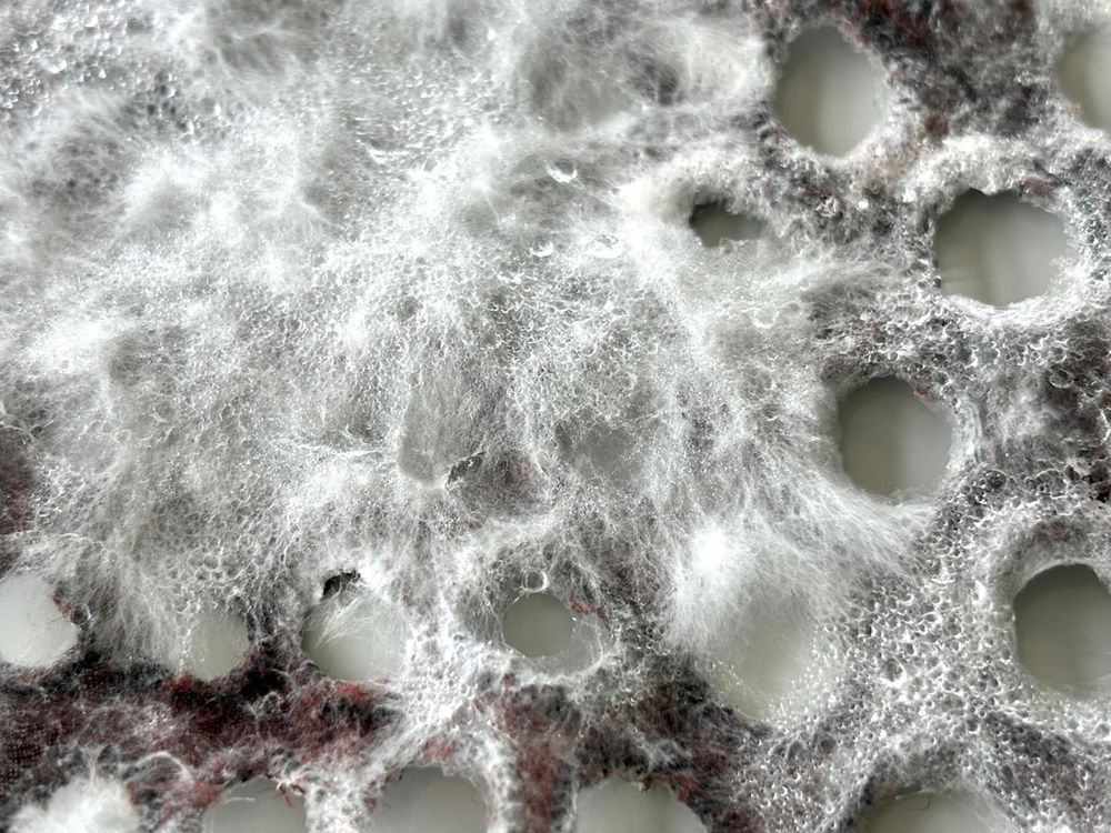 A close-up image of a fluffy textile sample, with numerous holes in it, large and small. It is mostly grey and white, with a few areas of dark reddish-brown.