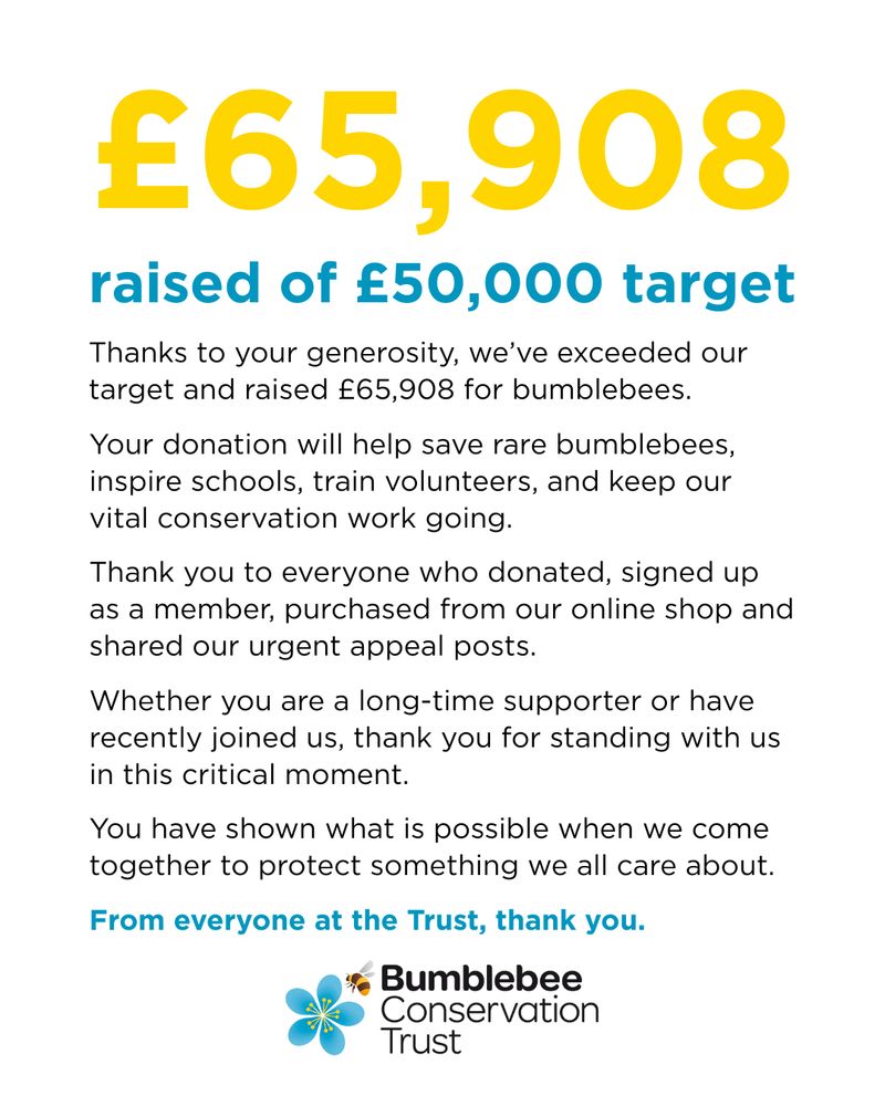£65,908  raised of £50,000 target.
Your donation will help save rare bumblebees, inspire schools, train volunteers, and keep our vital conservation work going.
Thank you to everyone who donated, signed up as a member, purchased from our online shop and shared our urgent appeal posts.
Whether you are a long-time supporter or have recently joined us, thank you for standing with us in this critical moment.
You have shown what is possible when we come together to protect something we all care about.