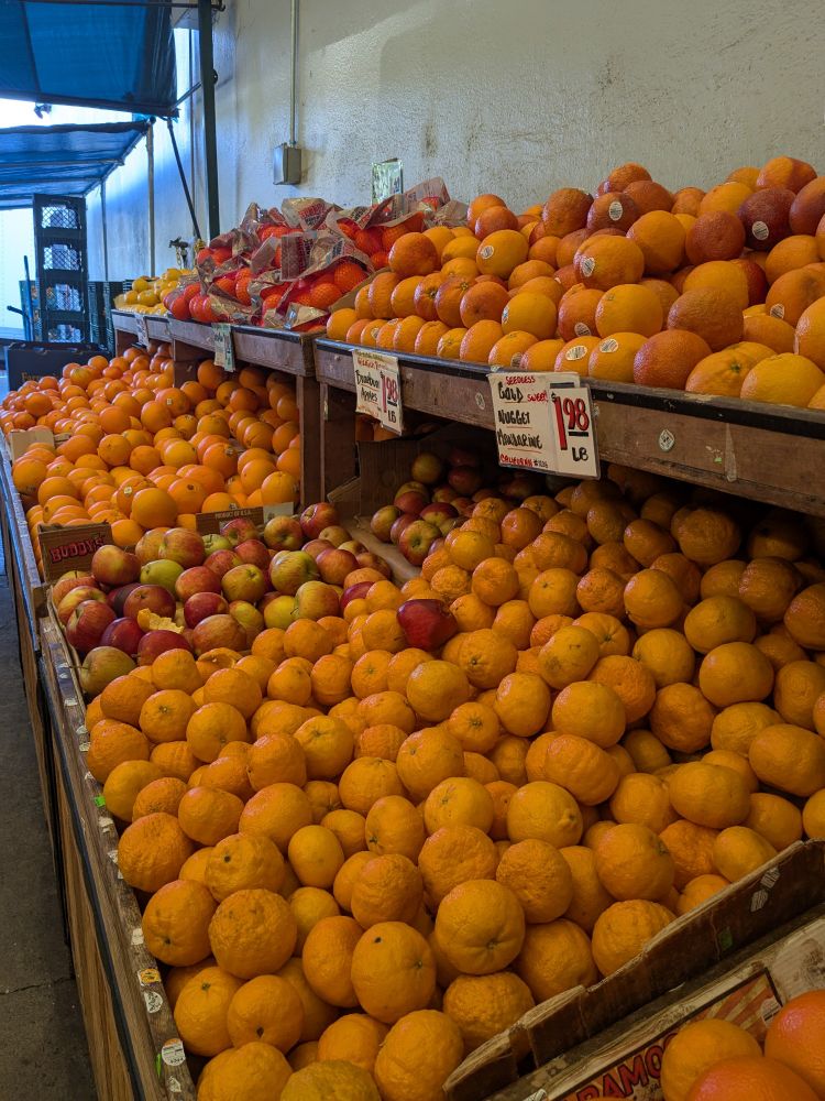 many citrus varietals heaped in a market display