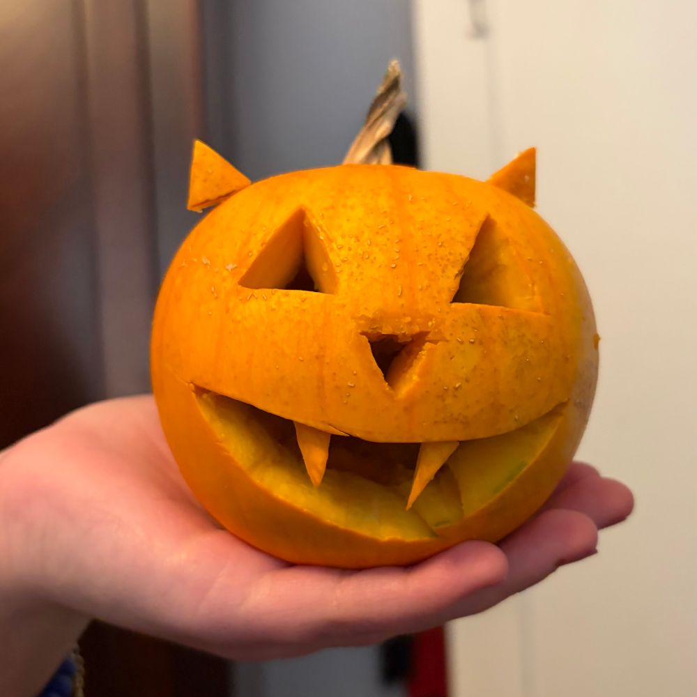 A small pumpkin resting on an open palm. It is the size of a baseball maybe? It is carved with a classic jack-o’-lantern face but it also has little kitty ears added. It is adorable. 