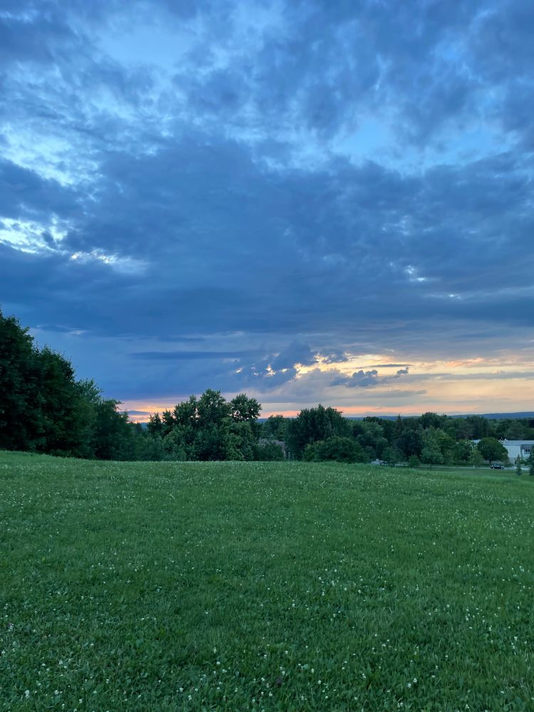 Sky scene at sunset: a dramatic arrangement of clouds with the sunlight behind them. Below, trees and green grass.