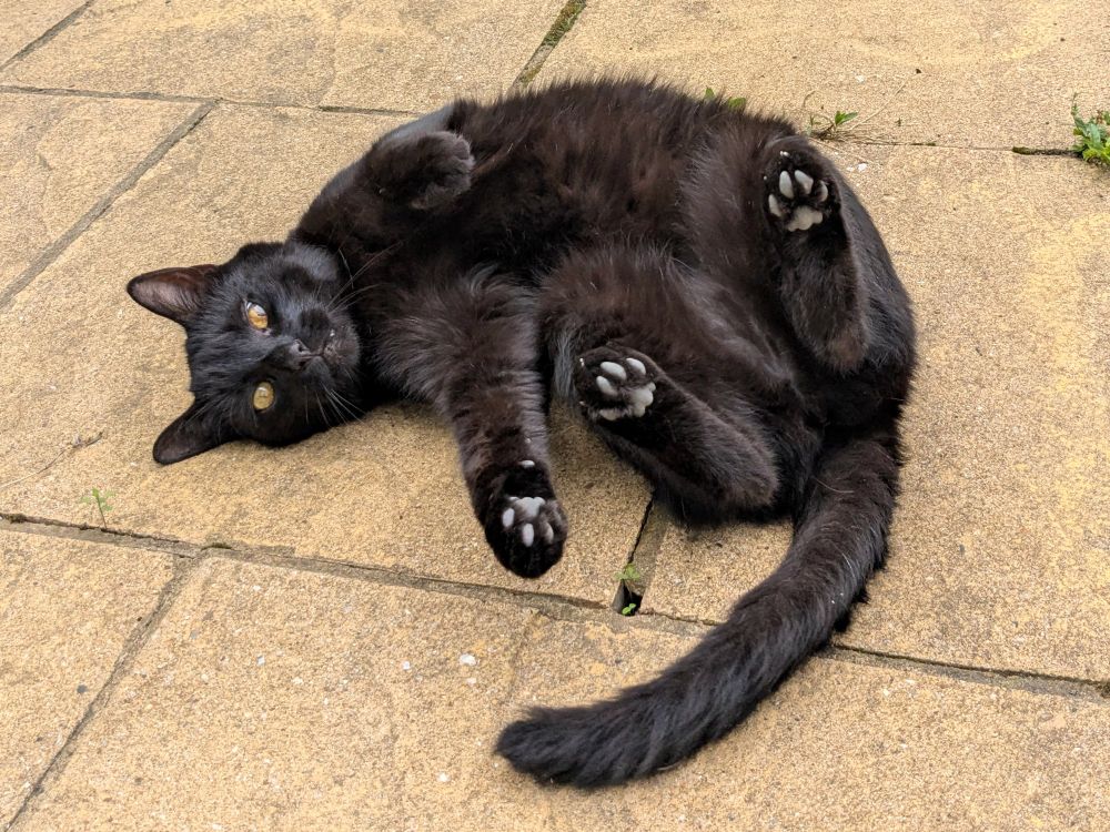 A black cat with golden eyes lies on her back with her paws in the air on yellow patio slabs.