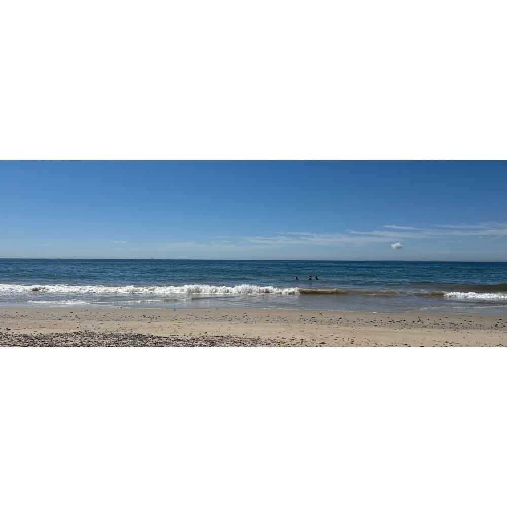 Rolling waves, beach panorama 
