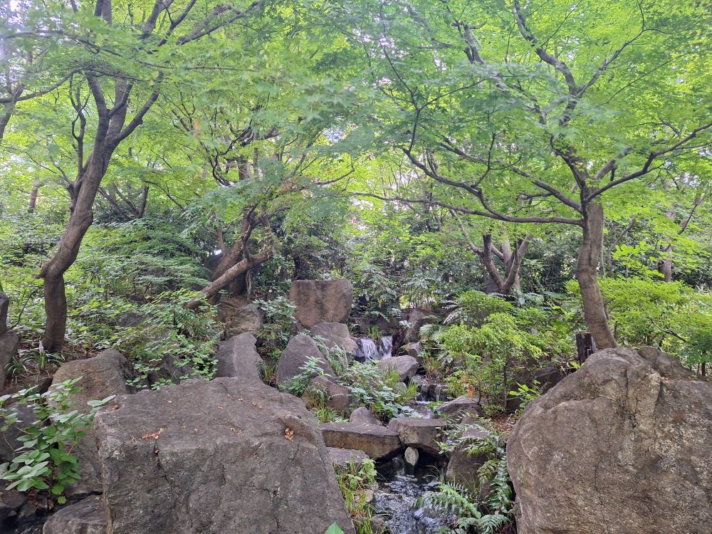 Mōri Garden in Tokyo, Japan. Trees and ferns surround a small waterfall.