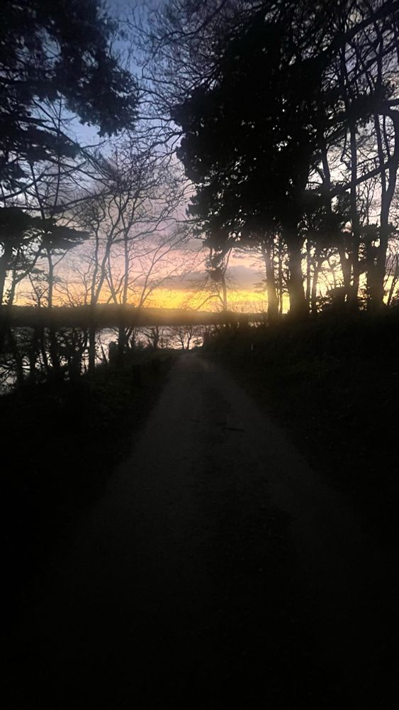 Road to the Helford river