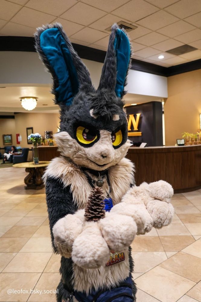 Were-hare fursuiter (Flan) wearing their fullsuit in the lobby of the Whispering Woods Hotel + Conference Center. They are holding a single pinecone in one of their paws.

Taken at MFM 2024