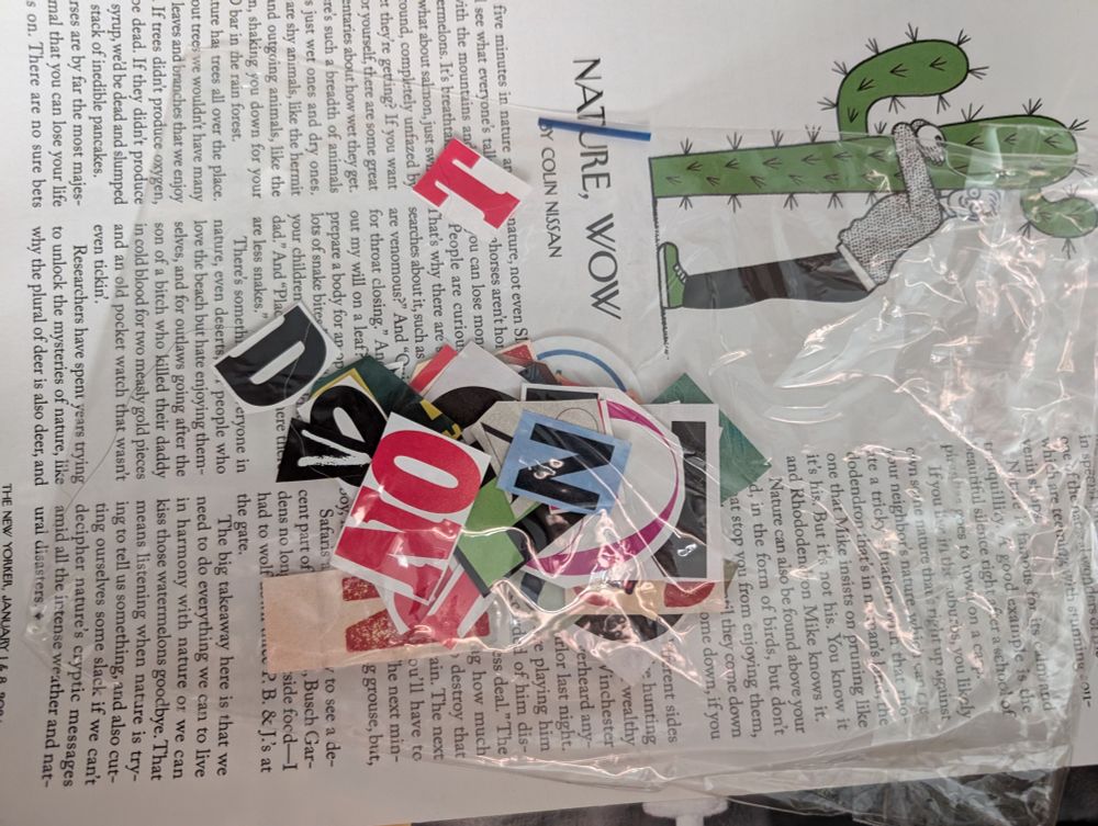 Plastic baggie with letters cut out of magazines on top of a page torn out of The New Yorker with a drawing of a man hugging a cactus.