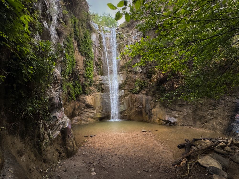 Photo of a waterfall surrounded by green plants.