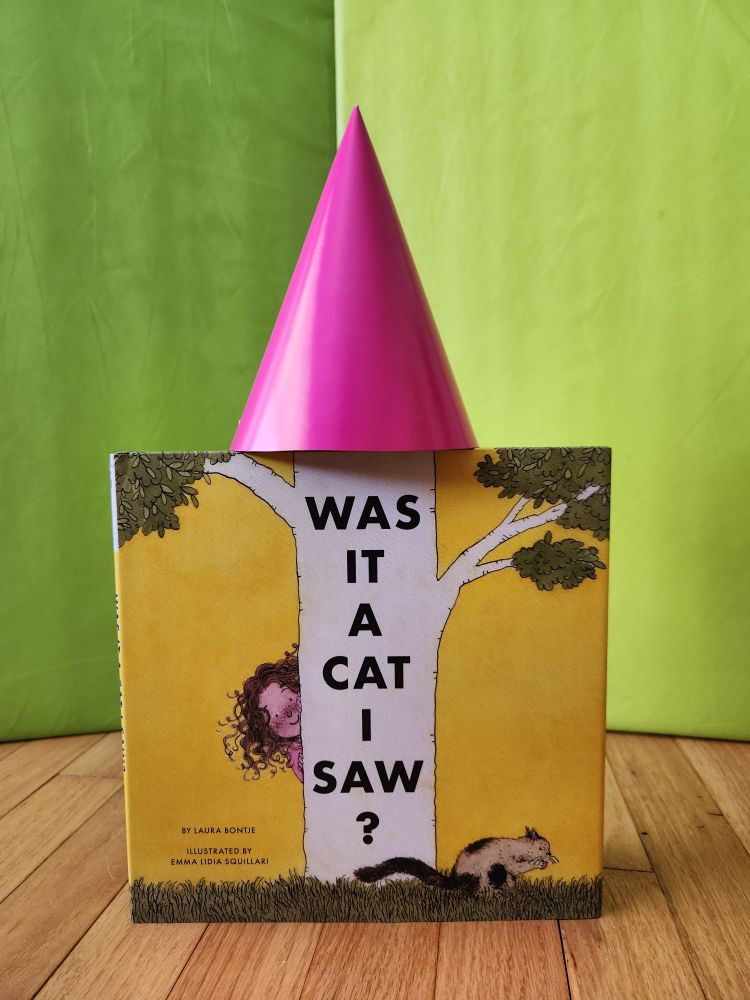 In front of a green backdrop, the picture book Was It a Cat I Saw? wears a pink birthday hat.