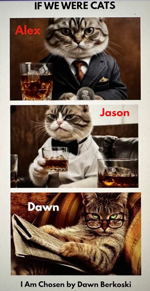 Photo of three cats. One is dressed as a CEO, another as a bartender, and the third is reading a book. The first two represent Alex and Jason from the paranormal romance, I Am Chosen. The one reading a book represents the writer, Dawn Berkoski 