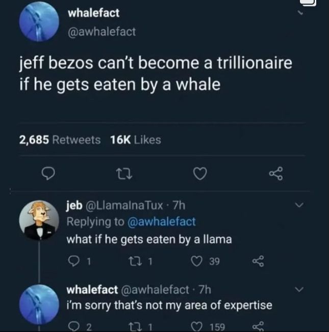 “jeff bezos can’t become a trillionaire if he gets eaten by a whale.” “what if he gets eaten by a llama?” “I’m sorry that’s not my area of expertise”