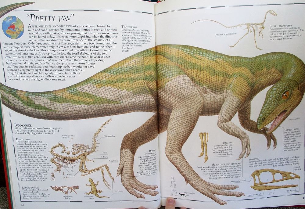 A two-page spread titled "Pretty Jaw" from an illustrated dinosaur book, showing the small theropod Compsognathus. It's depicted with scaly, pebbly skin, streaks of green and yellow above countershaded with cream on its belly and limbs. Its stance is slightly crouched, and it's twisting its neck around to peer towards the viewer with one glaring orange eye.