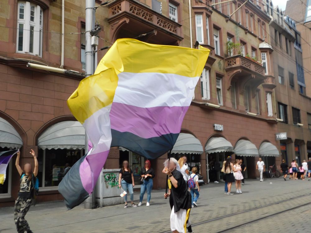 Mittig weht eine Person eine große Non-Binary-Flagge, auf der linken Seite steht eine weitere Person mit einer kleineren Non-Binary Flagge, die beide Arme in die Luft streckt.